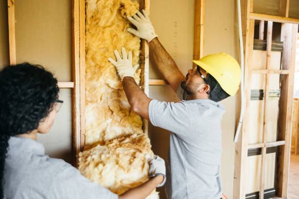 Best Soundproof Insulation Installation  in Bullard, TX