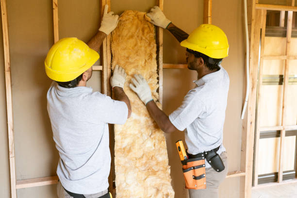 Best Insulation Removal  in Bullard, TX
