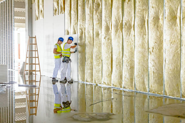 Best Fiberglass Insulation  in Bullard, TX